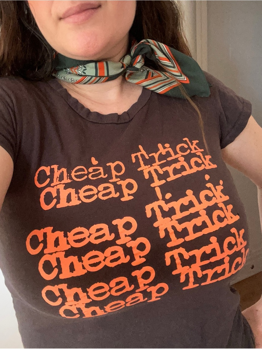 Vintage Cheap Trick band concert T-Shirt 1981 on the back - Picture 14 of 15